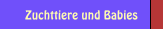 Zuchttiere und Babies